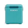 IGLOO TAG ALONG 2 HIGHRISE 22 Qt, PINK