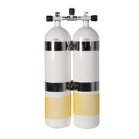 BTS TWINSET STEEL 12LITRE CONCAVE LONG 230 BAR